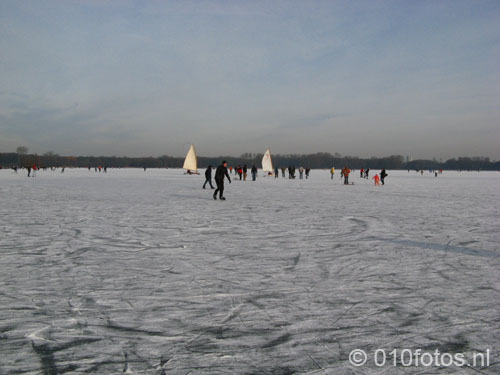 IMG_5146