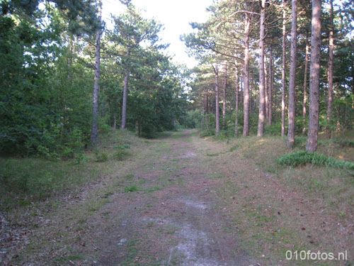 vlieland_04