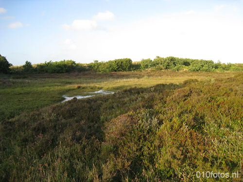 vlieland_07